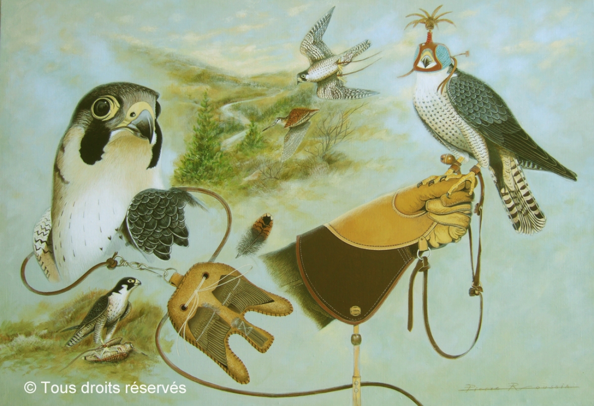 Peinture Chasse au  faucon pèlerin. : Peintures Rapaces