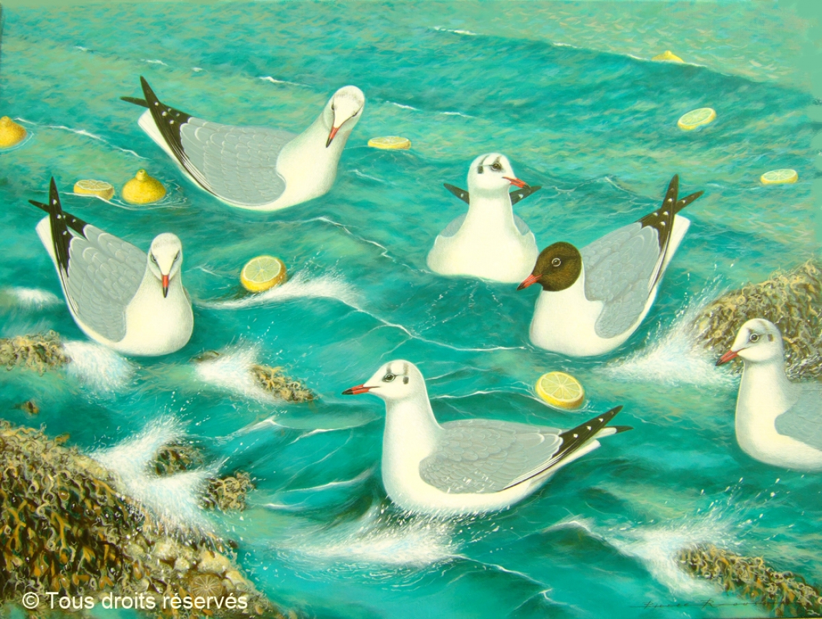 Mouettes rieuses au port de Cancale. : Peintures Divers