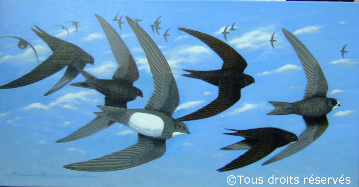 Martinets : Peintures Divers