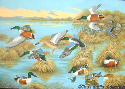 Fêtes des pères Peinture souchets