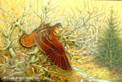 Idée cadeau de noel pour chasseur - Cancale